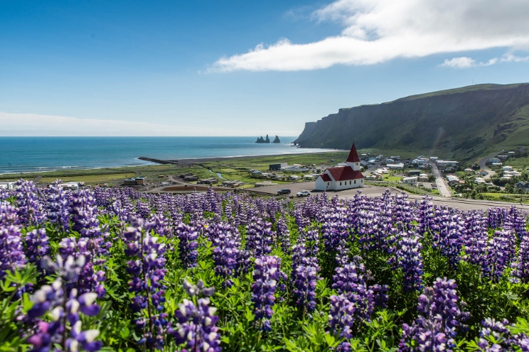 Southernmost tip of Iceland - Cape Dýrhólaey.